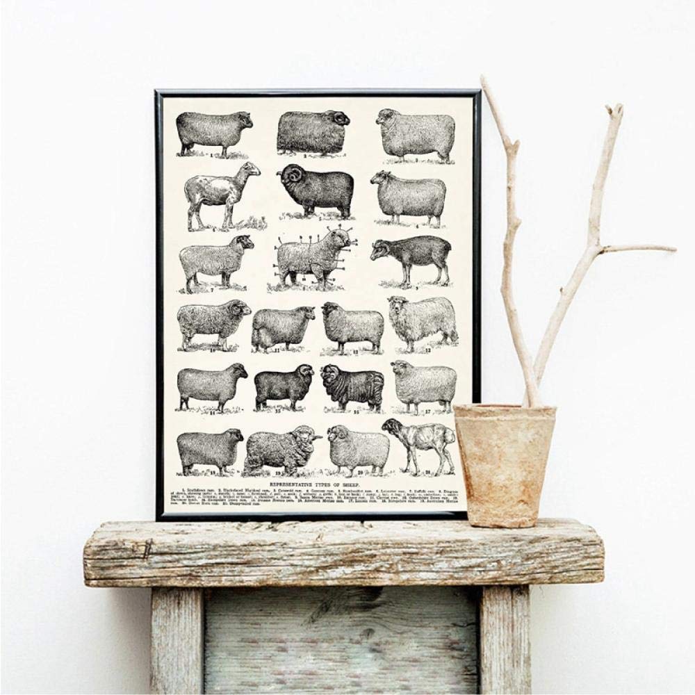 Amazon.co.jp: artaslf 羊の品種ビンテージポスタープリント農家